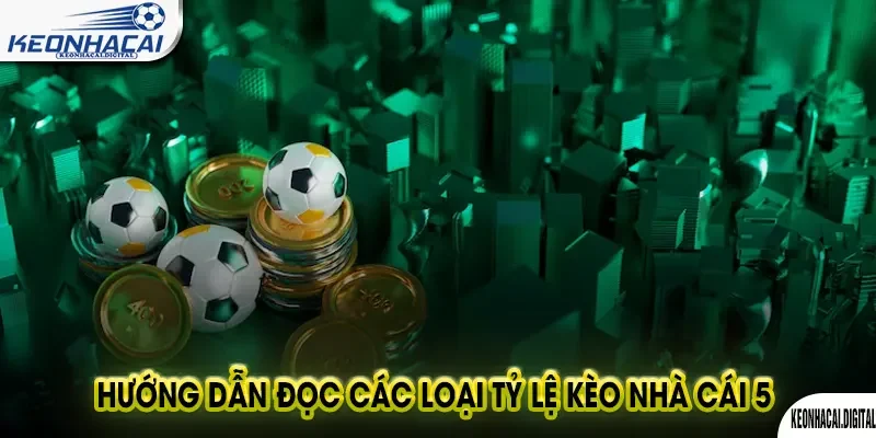 Tỷ Lệ Kèo Nhà Cái 5: Hướng Dẫn Toàn Tập 2025 2 Hướng dẫn đọc các loại tỷ lệ kèo nhà cái 5
