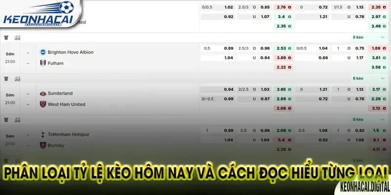 Tỷ lệ Kèo Hôm nay: 5 Cách đọc Kèo nhà cái Chuẩn xác 2 Phân loại Tỷ lệ Kèo Hôm nay