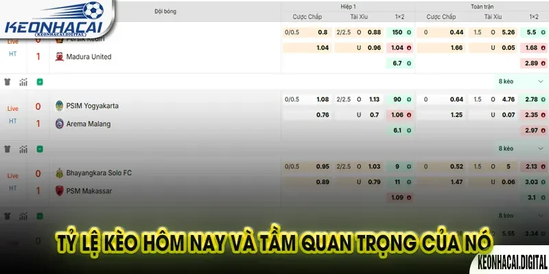 Tỷ lệ Kèo Hôm nay: 5 Cách đọc Kèo nhà cái Chuẩn xác 1 Tỷ lệ Kèo Hôm nay và Tầm quan trọng của nó