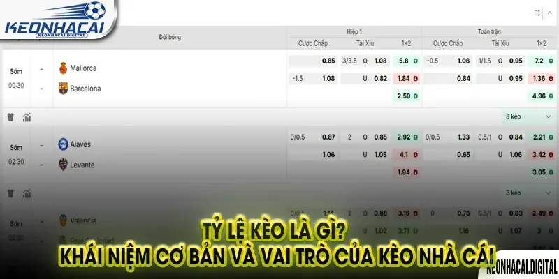 Tỷ Lệ Kèo Là Gì? Khái Niệm Cơ Bản và Vai Trò Của Kèo Nhà Cái